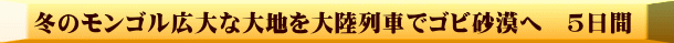 冬のモンゴル広大な大地を大陸列車でゴビ砂漠へ　5日間 