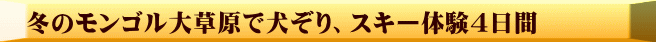 冬のモンゴル大草原で犬ぞり、スキー体験4日間　