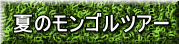 夏のモンゴルツアー 