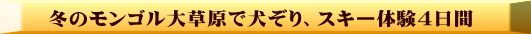 冬のモンゴル大草原で犬ぞり、スキー体験4日間 