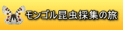 モンゴル昆虫採集の旅 